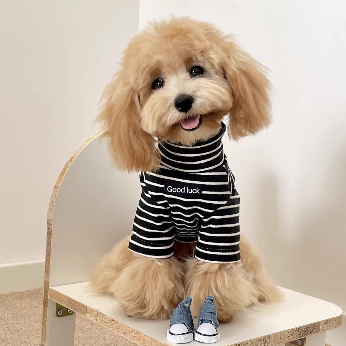 2Pcs Striped Thermal Dog Shirt - đánh giá và giá Thermal Base Layer