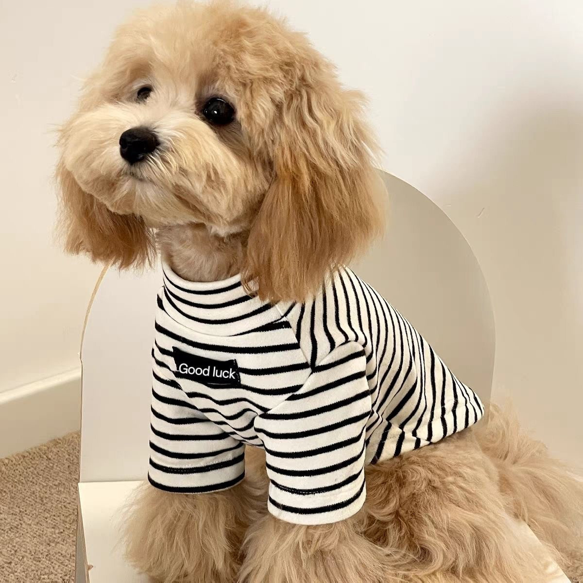 2Pcs Striped Thermal Dog Shirt - đánh giá và giá Thermal Base Layer